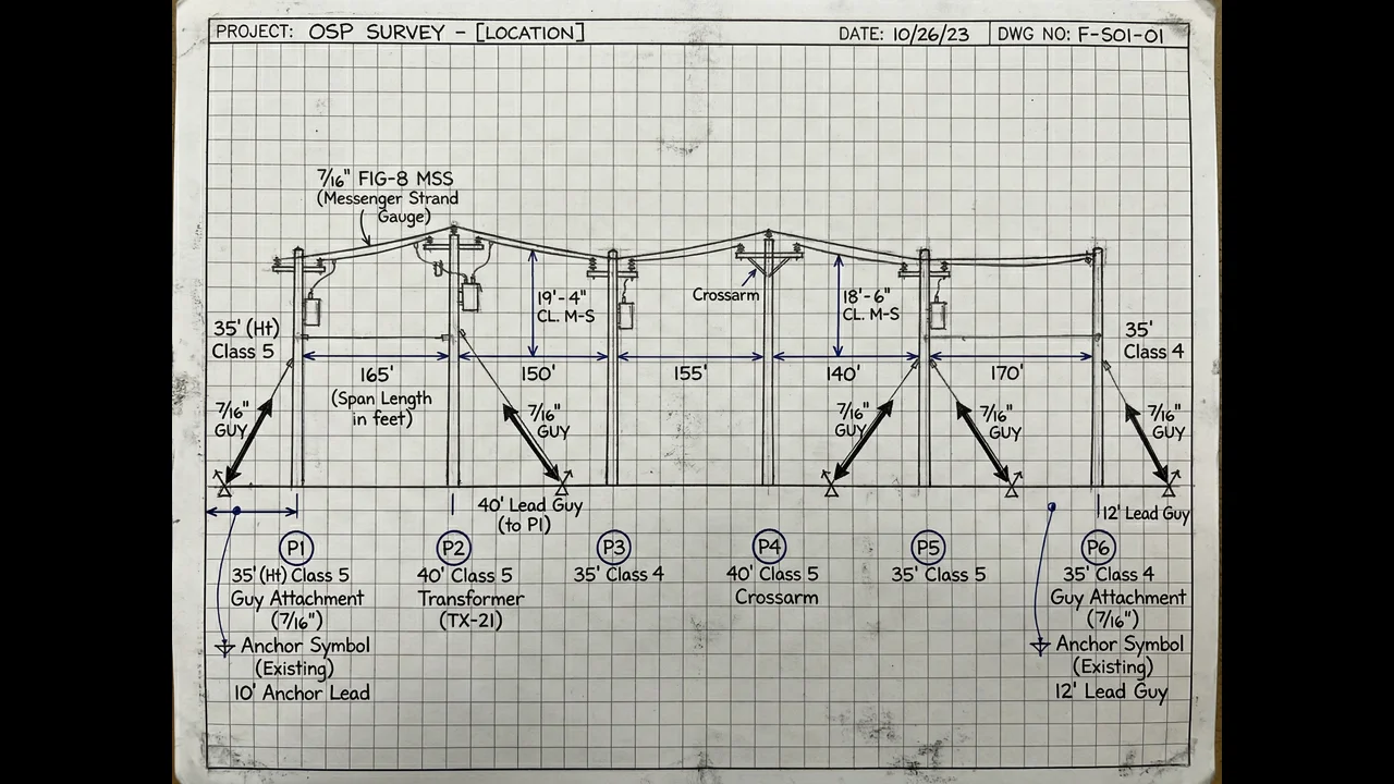 Strand Mapping and Aerial Plant Assessment: The Field Process That Makes or Breaks Design